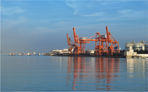 7790必发集团口服务有限公司