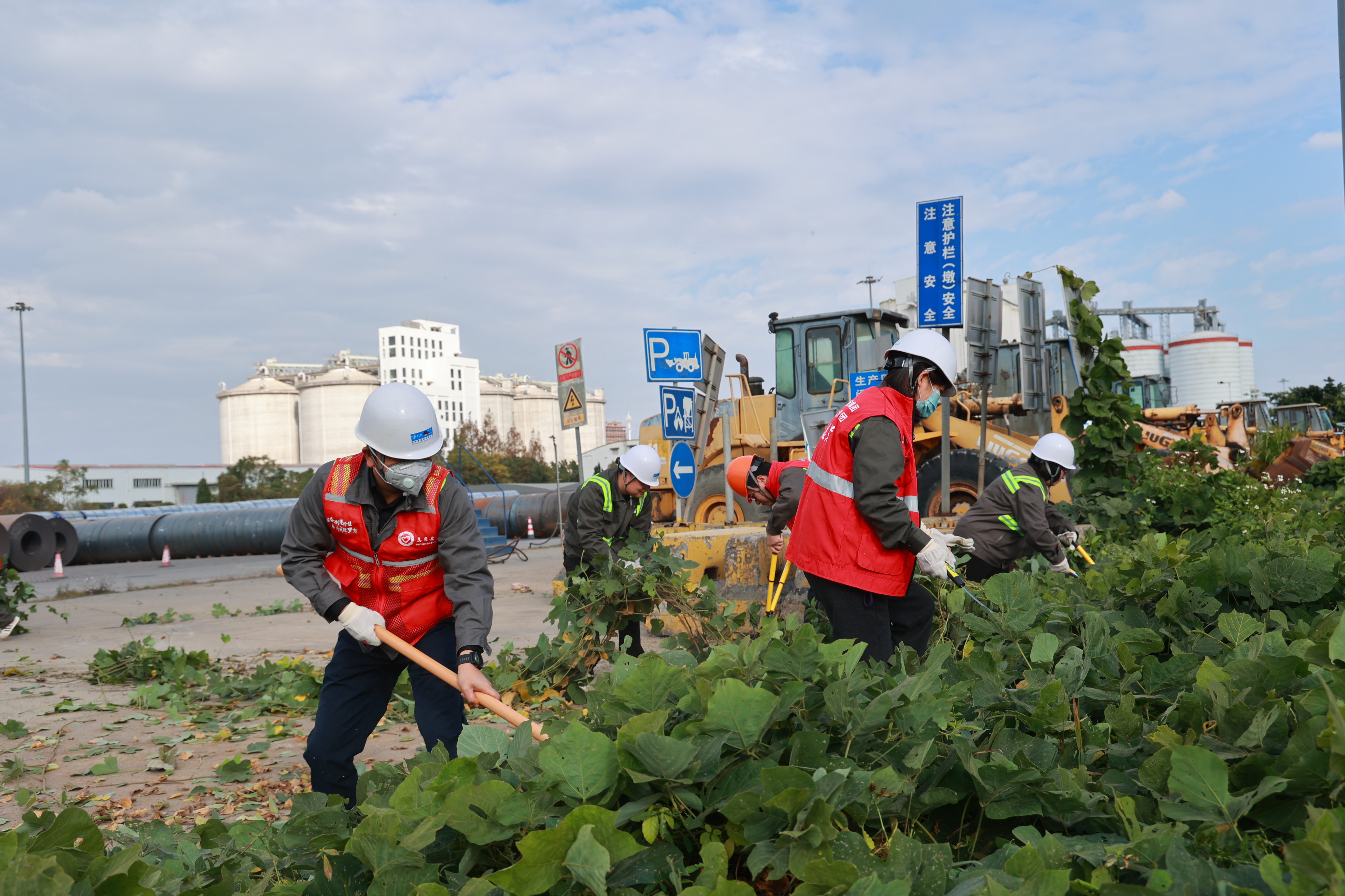 金洋公司发展港区环境卫生美化自愿服务活动