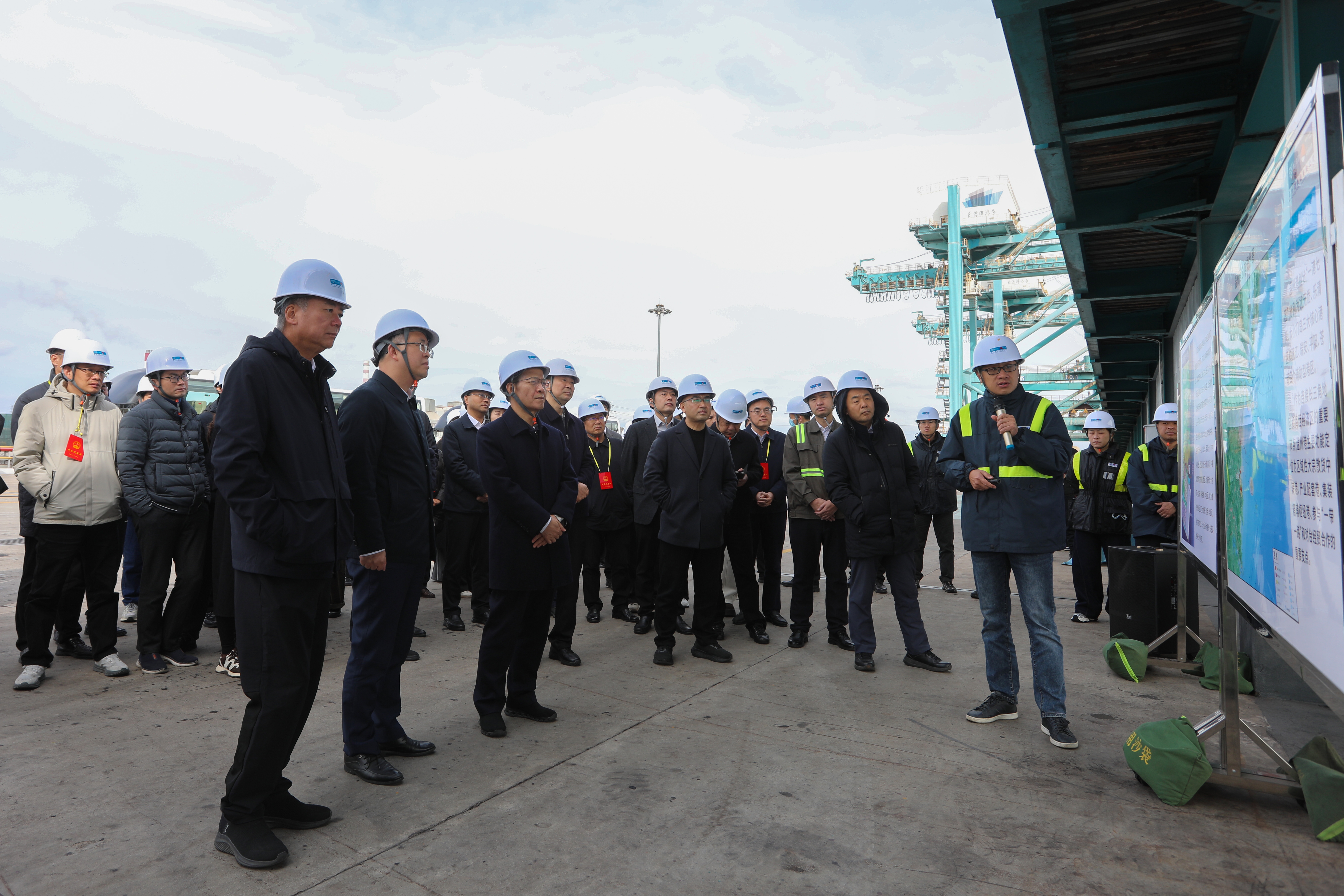 浙江省十四届人大代表一行赴乐清湾港区发展会前集中视察工作